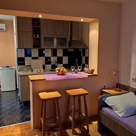 Apartman Ristic Niska Banja Exterior foto